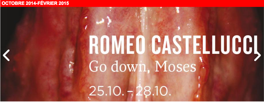 go down moses Romeo Castellucci, Plastikart: Construction of the masks, props, sculptures, special effects, automations