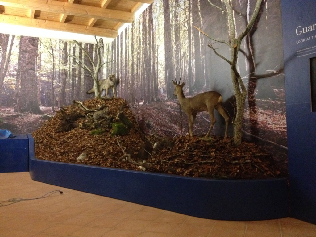 Ricostruzione Diorama; Ecomuseo Pollino. 2014/15