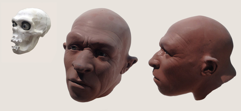 Ricostruzione Homo Sapiens e Neanderthal - Plastikart Studio. Neanderthal Maschio Giovane