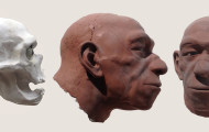 Ricostruzione Homo Sapiens e Neanderthal - Plastikart Studio. Neanderthal Maschio adulto