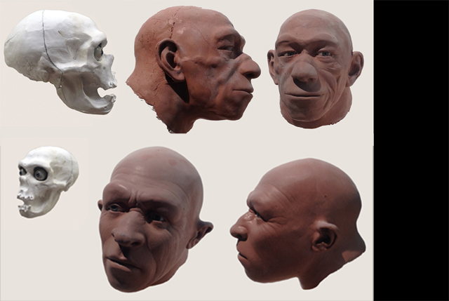 Ricostruzione Homo Sapiens e Neanderthal - Plastikart Studio.