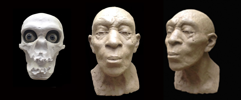 Ricostruzione Homo Sapiens e Neanderthal - Plastikart Studio. Neanderthal Femmina adulta